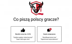 Opinie o Bison Casino — co piszą polscy gracze 