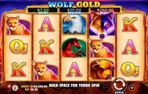 Preryjny zachód słońca — grafika i klimat Wolf Gold